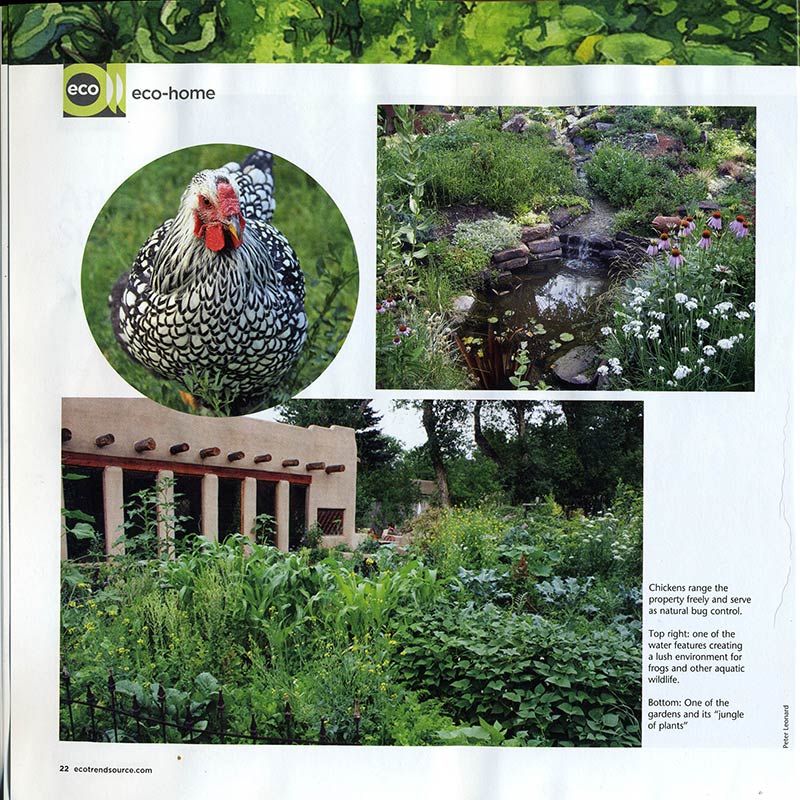 Eco Source Magazine article: An Artful Adventure in Sustainable Living by Lyn Bleiler - paintings by Lee Lee
A multi-generational Taos family incorporates polyculture, aquaponics, and permaculture techniques to create an educational, earth-friendly oasis