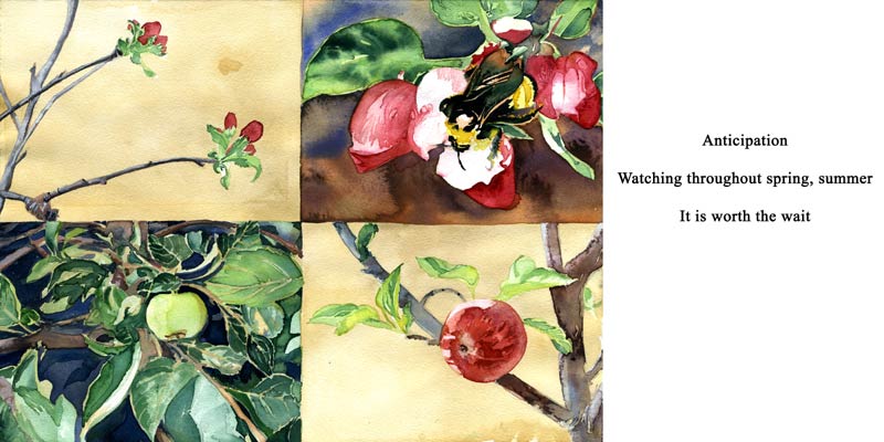 Watercolor by Lee Lee & Thatcher Gray
Haiku by Peter T Leonard
A Year in Grandpa's Garden