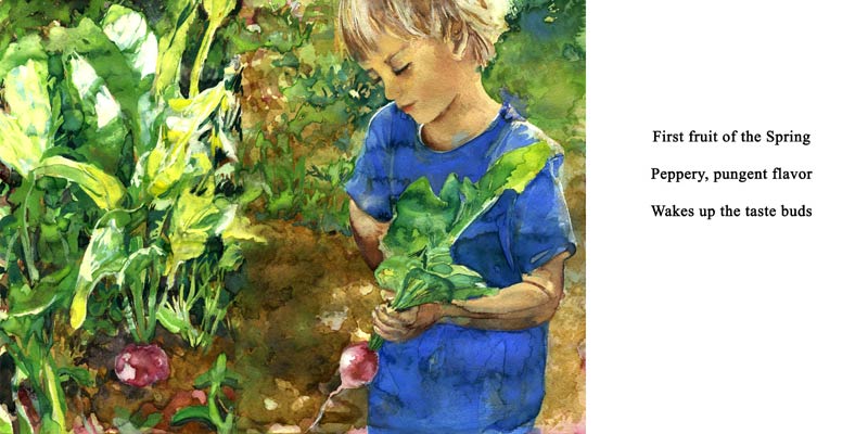 Watercolor by Lee Lee & Thatcher Gray
Haiku by Peter T Leonard
A Year in Grandpa's Garden