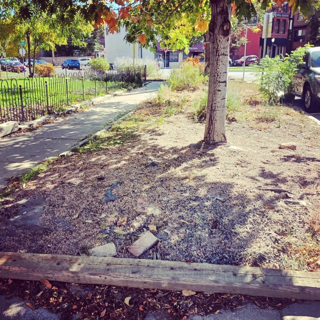 Before shot of the Stiles African American Heritage Gardens in Five Points, Denver