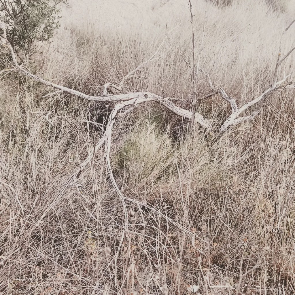 Lee Lee: Landscape photograph of abandoned acequia that lay like bones across the fields above Blanca, Spain taken while on an artist residency at AADK