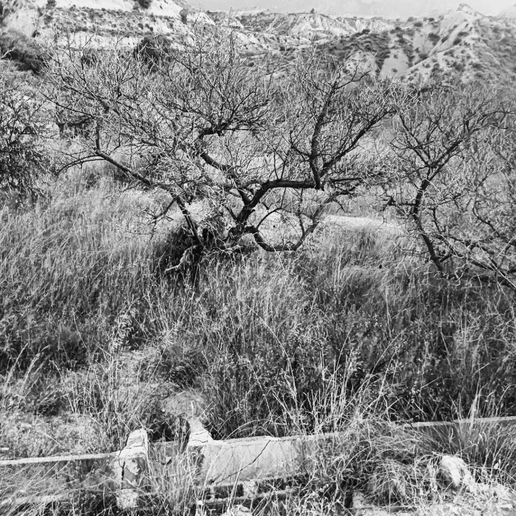 Lee Lee: Landscape photograph of abandoned acequia that lay like bones across the fields above Blanca, Spain taken while on an artist residency at AADK