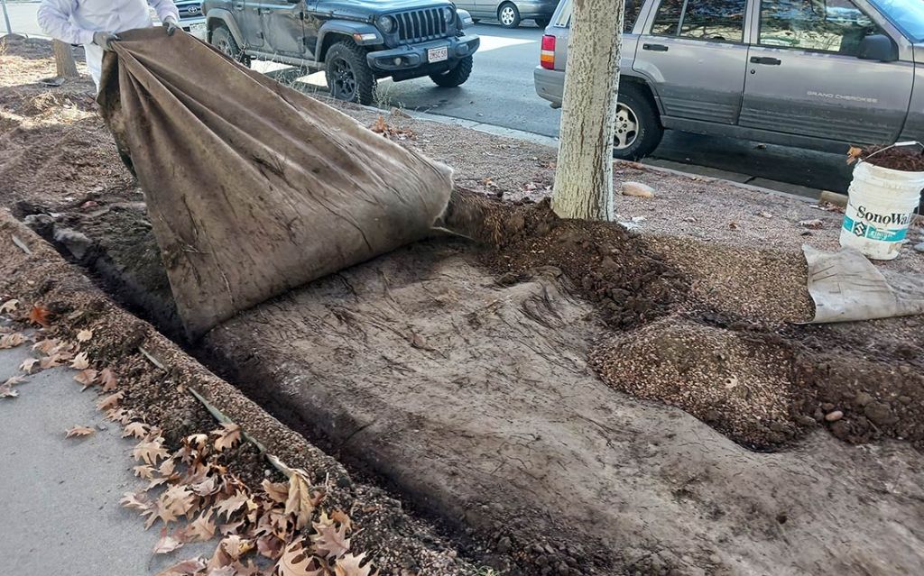 Tearing out three layers of wee cloth at the Stiles African American Heritage Gardens, Five Points, Denver