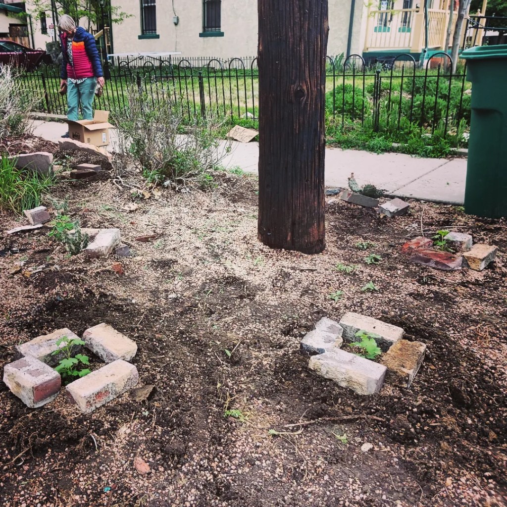 Front Range Wild Ones helped plant the Stiles African American Heritage Gardens in Five Points, Denver to honor Madam CJ Walker on Mother's Day