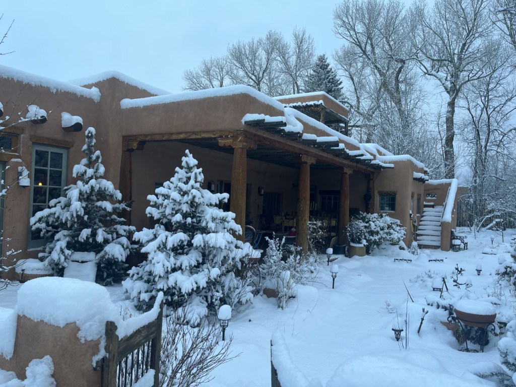 The TAOS Distillery - Native Plant Retreats
Workshops - Residencies - Retreats
Collaboration with the Colorado Native Plant Society