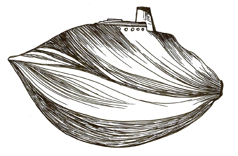 Claire Coté, the transformation of a palm seed to a boat in her exploration of biomimicry