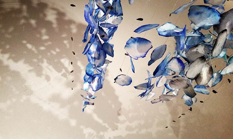 Shadows capture the ephemeral quality of Stephanie Lerma’s intention behind Seed Cloud