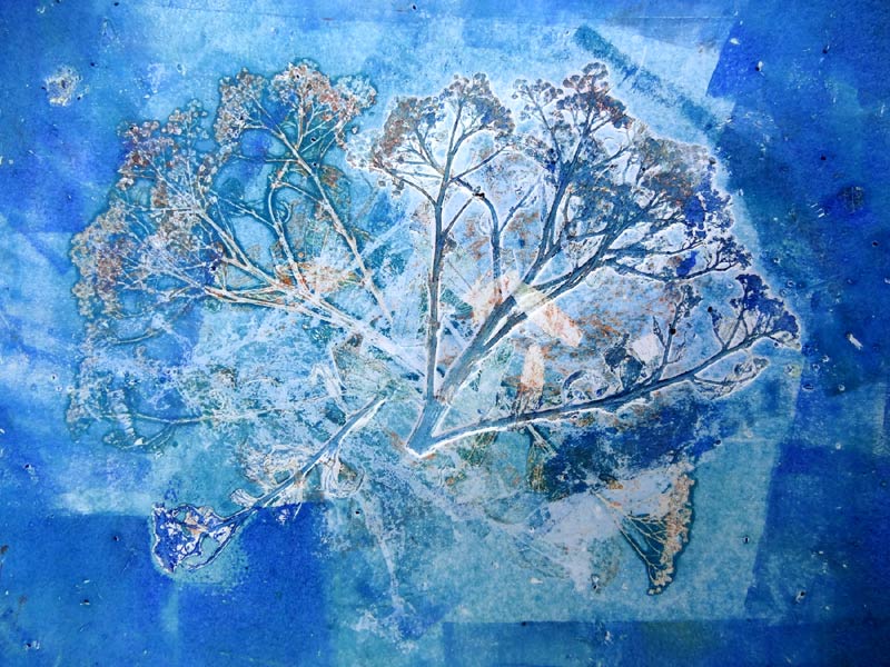 Linda Melvin Graham, seed head monoprint created at Processus Art Life