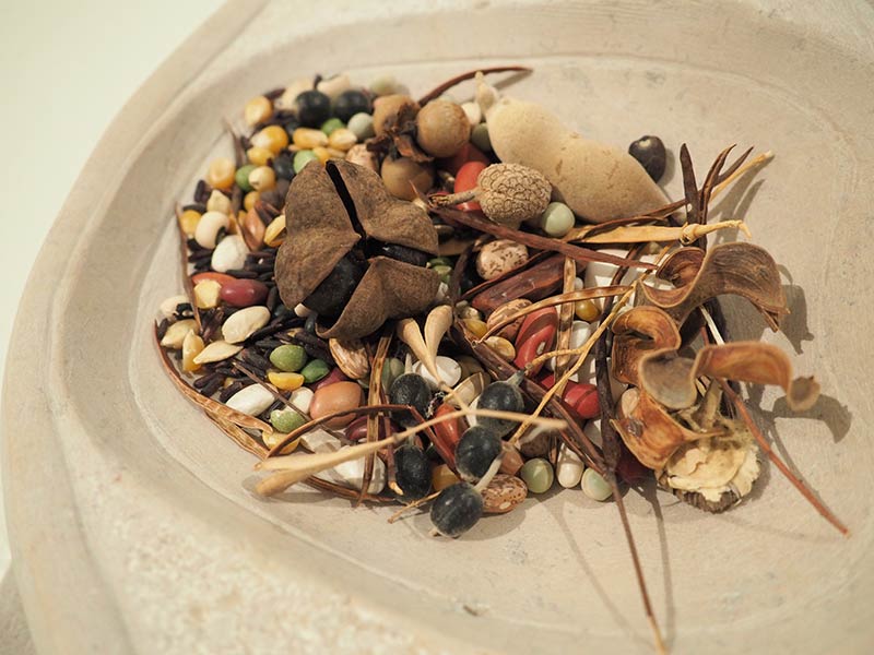 TJ Mabrey - detail of SEED Carrier sculpture